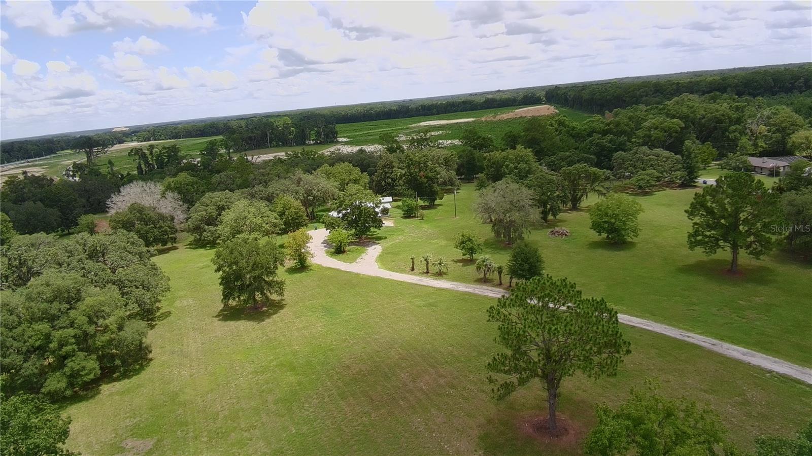 24206 DOC KARELAS DR, NEWBERRY, FL — photo 6