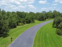 10736 LEAFWING DR — photo 12