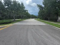 10736 LEAFWING DR — photo 4