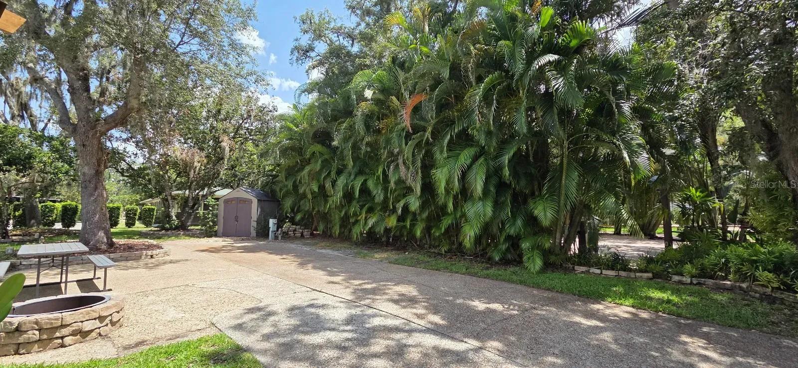 374 BEAR TRL, RIVER RANCH, FL — photo 4