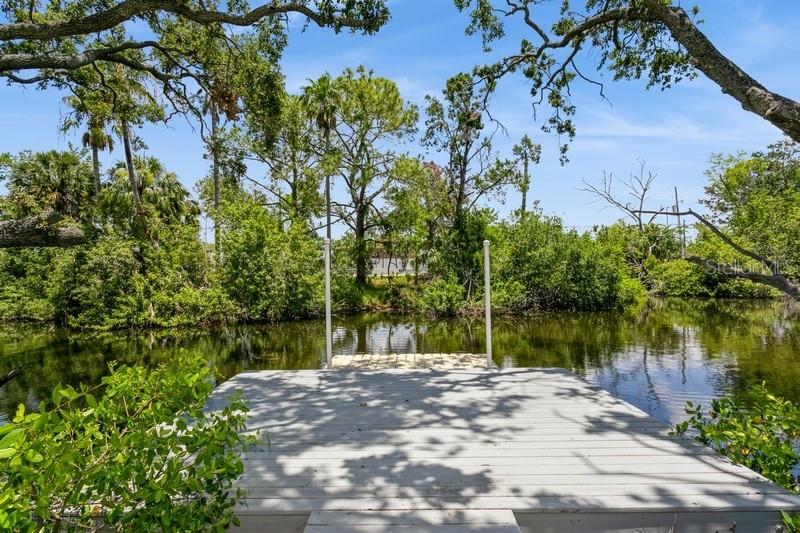 9107 BRUNSWICK LN, TAMPA, FL — photo 7
