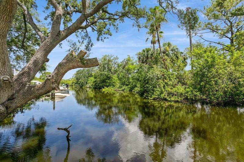 9107 BRUNSWICK LN, TAMPA, FL — photo 10