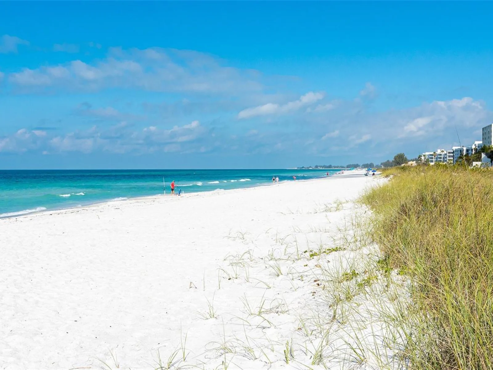 4325 GULF OF MEXICO DR #305, LONGBOAT KEY, FL — photo 46