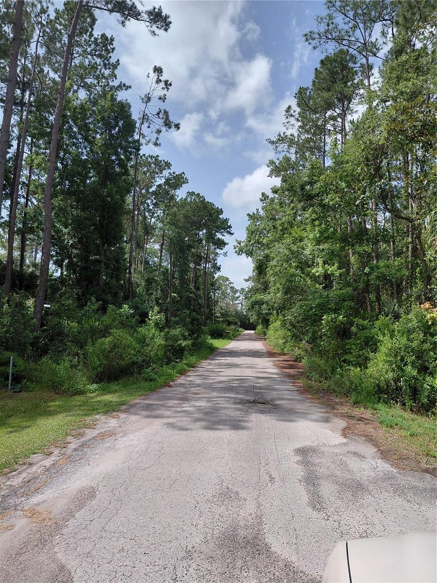 JAMES ST, ASTOR, FL