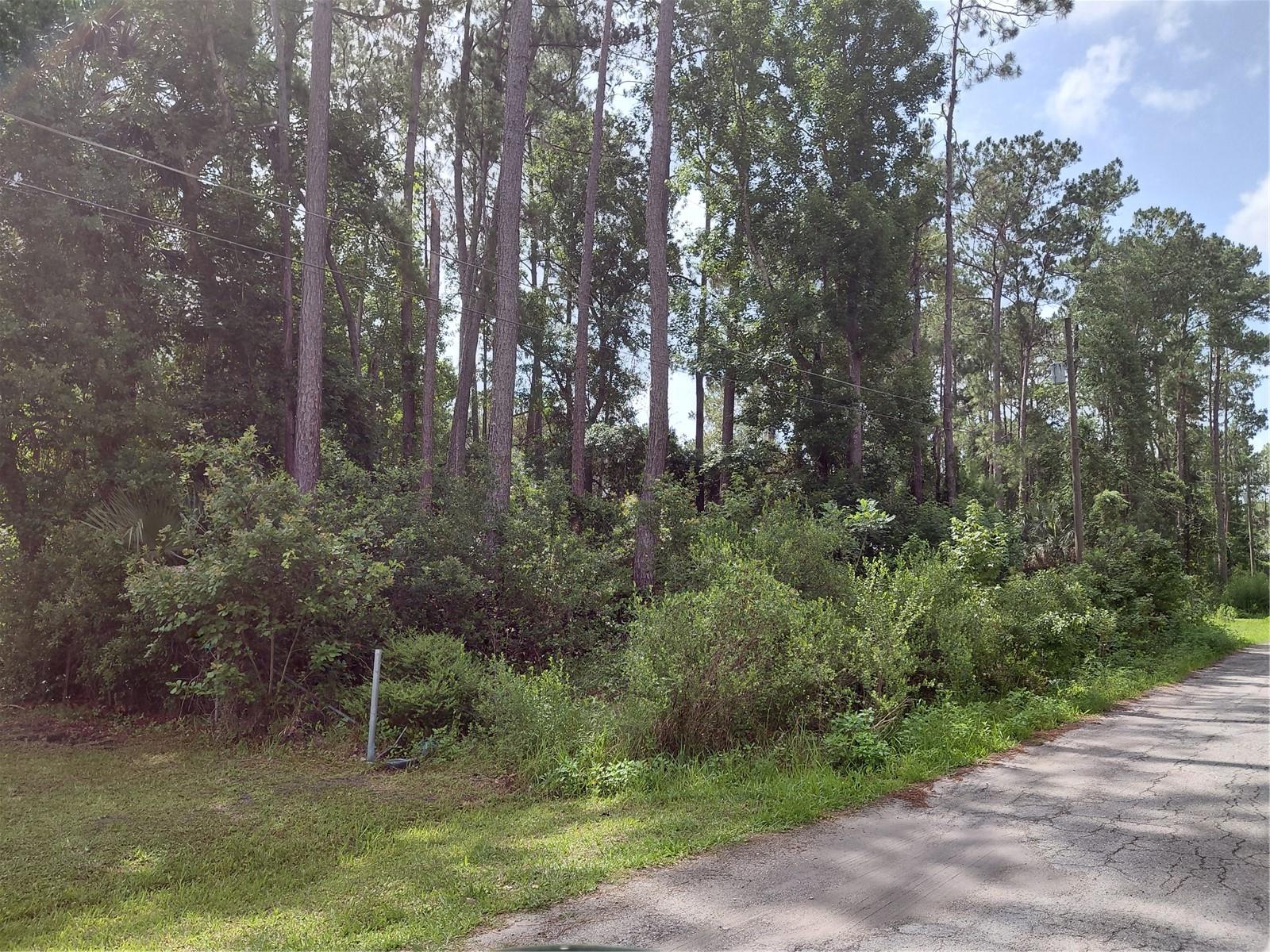 JAMES ST, ASTOR, FL — photo 4