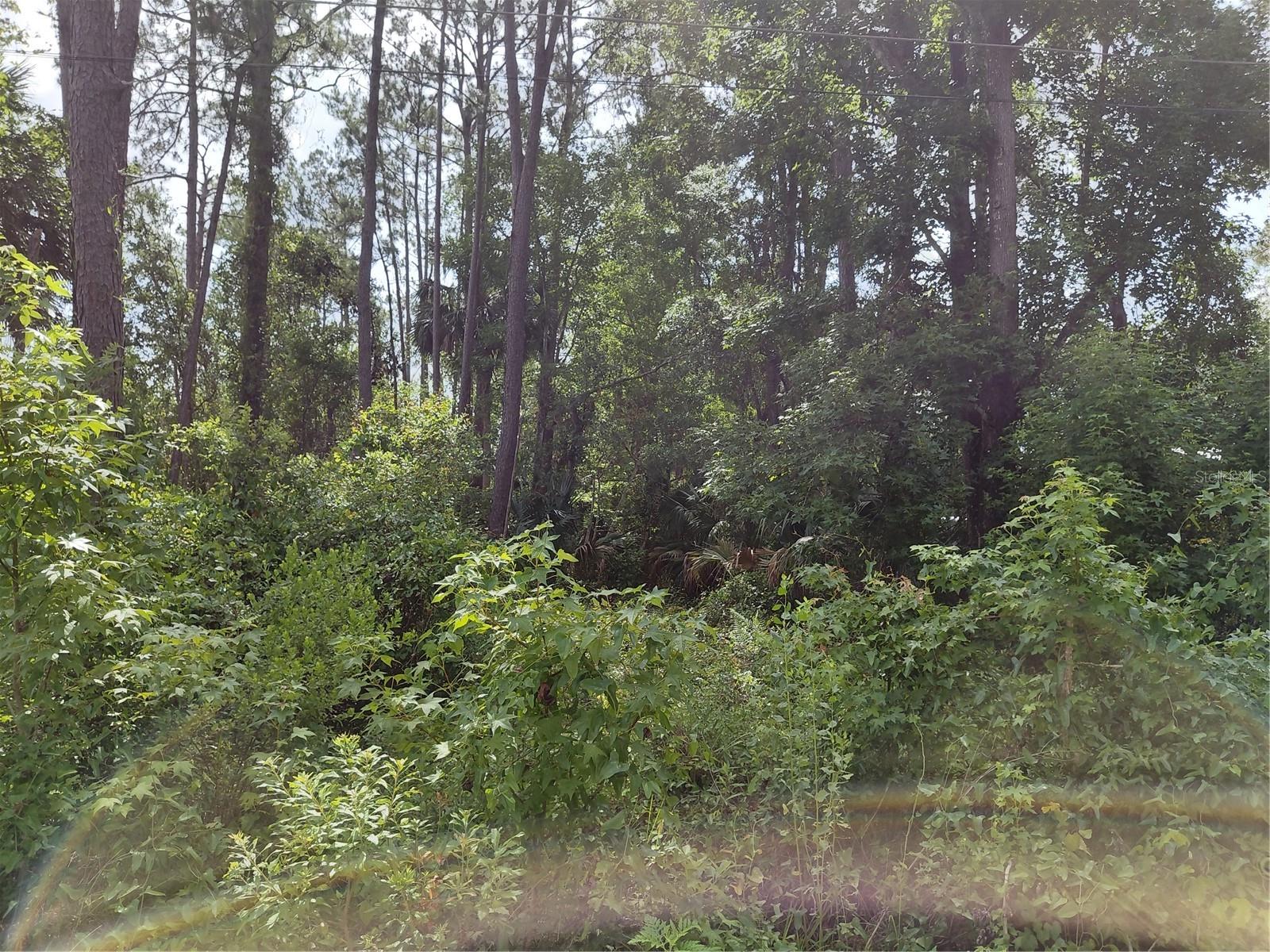 JAMES ST, ASTOR, FL — photo 5