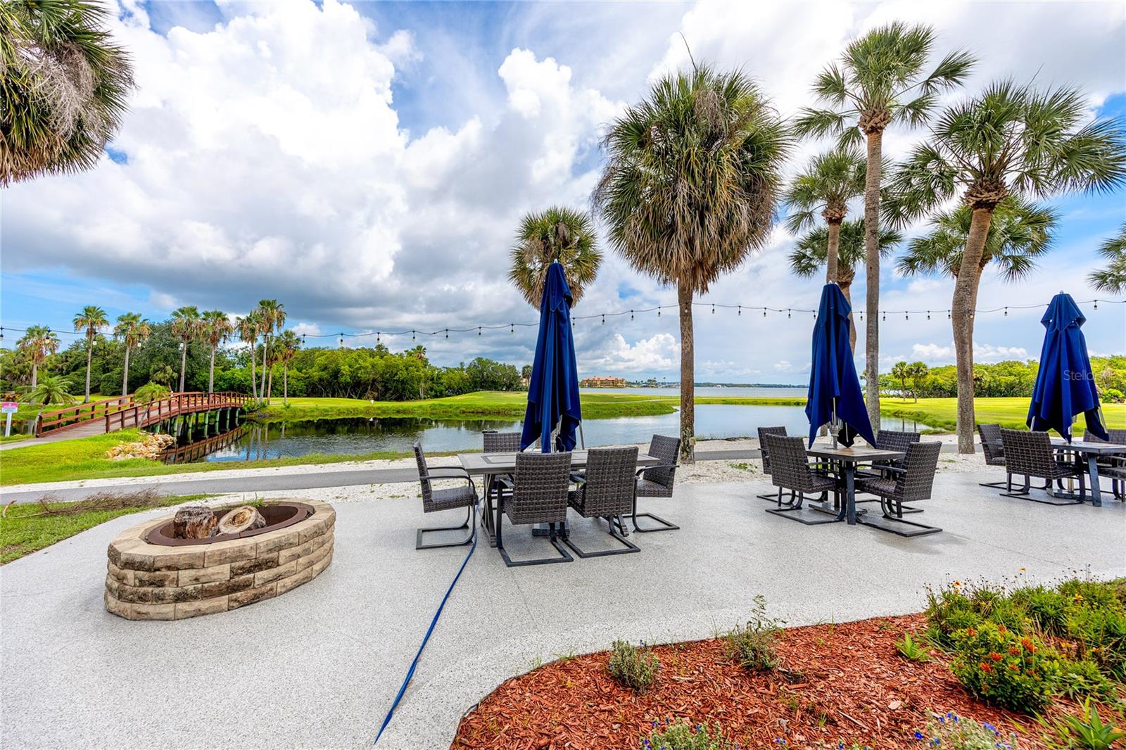 2621 COVE CAY DR #309, CLEARWATER, FL — photo 50