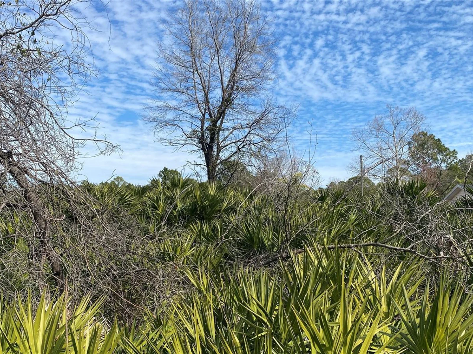 SR-415, NEW SMYRNA BEACH, FL — photo 8