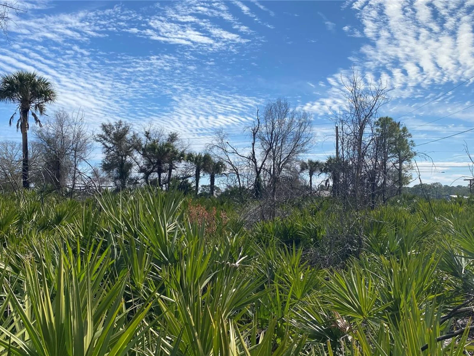SR-415, NEW SMYRNA BEACH, FL — photo 10