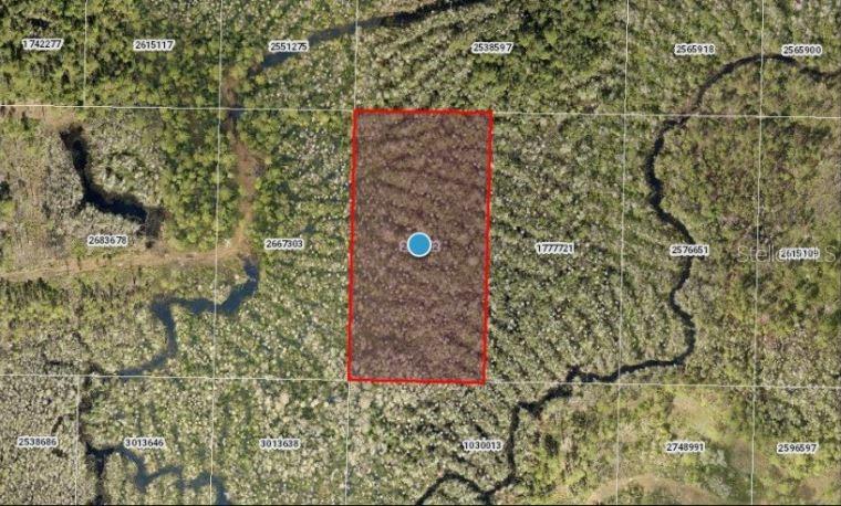 CALVIN LEE RD, GROVELAND, FL — photo 3