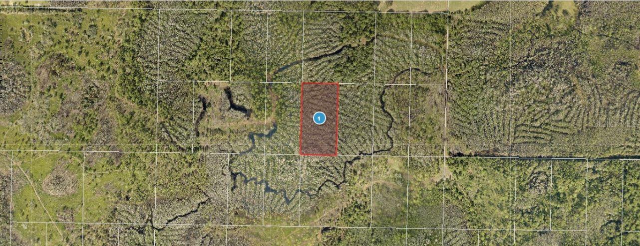 CALVIN LEE RD, GROVELAND, FL — photo 5