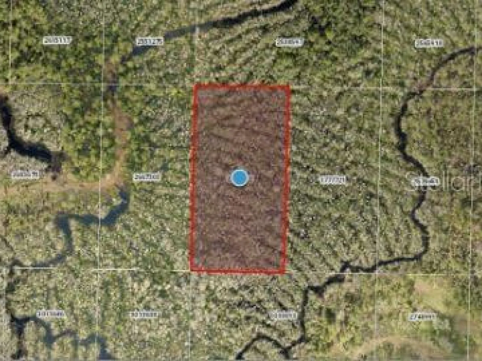 CALVIN LEE RD, GROVELAND, FL — photo 8