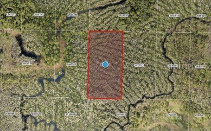 CALVIN LEE RD, GROVELAND, FL — photo 7