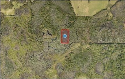 CALVIN LEE RD, GROVELAND, FL — photo 10