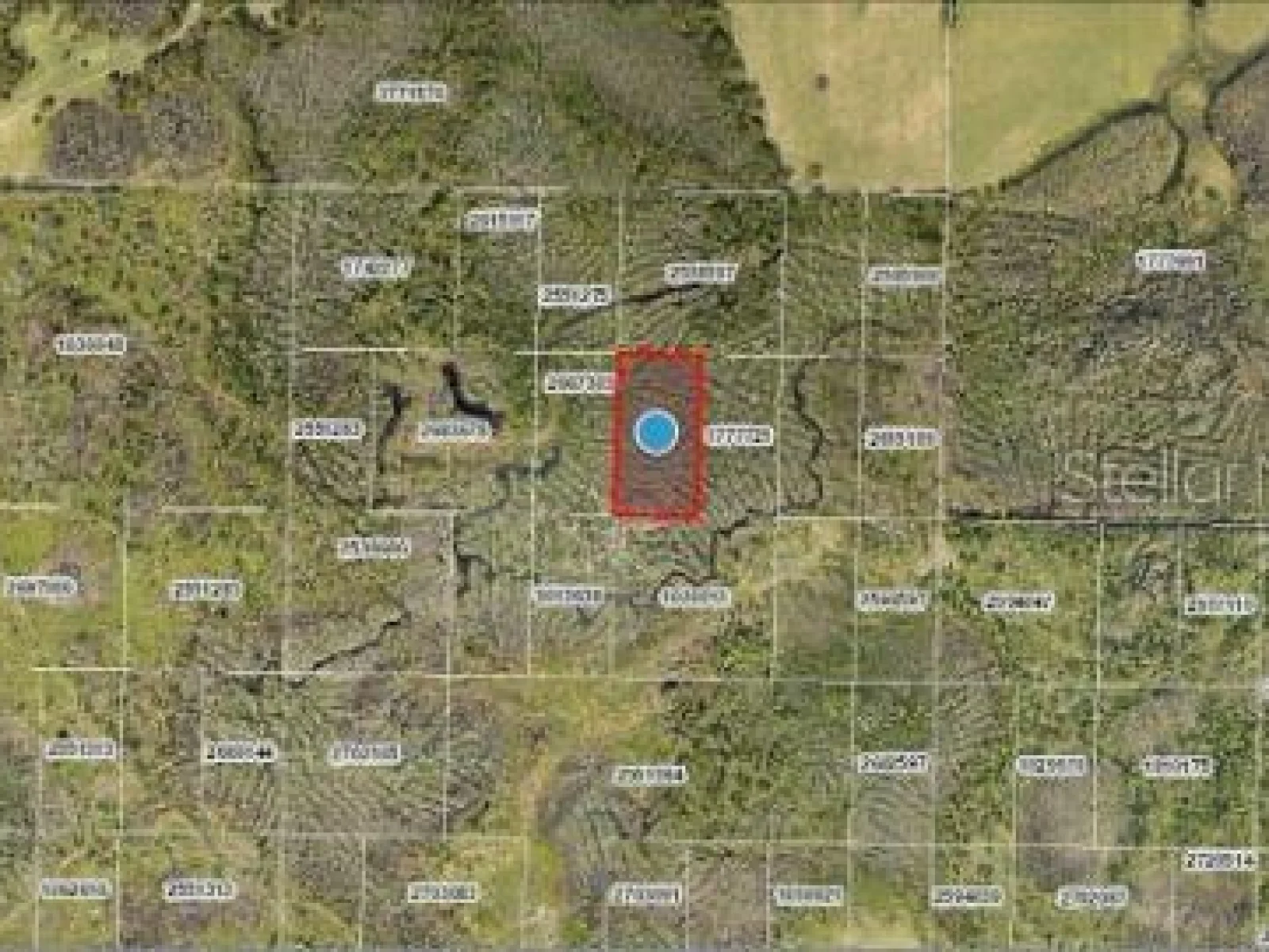 CALVIN LEE RD, GROVELAND, FL — photo 11