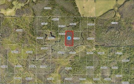 CALVIN LEE RD, GROVELAND, FL — photo 12