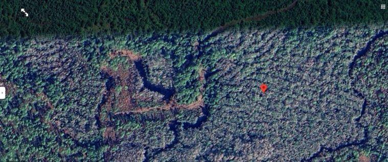 CALVIN LEE RD, GROVELAND, FL — photo 15