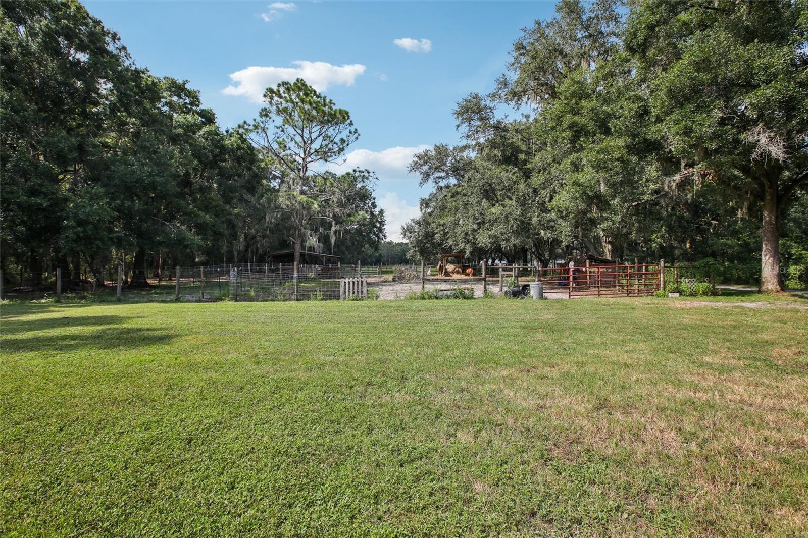 5321 BRUTON RD, PLANT CITY, FL — photo 34