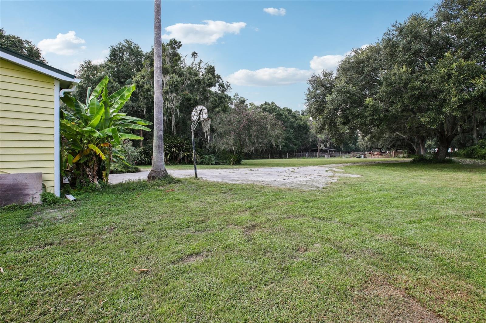 5321 BRUTON RD, PLANT CITY, FL — photo 24
