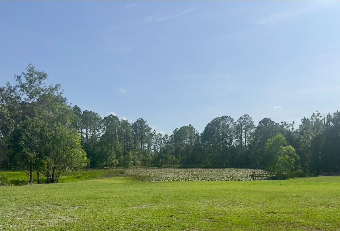 44645 MISTY ISLE DR, DELAND, FL — photo 21