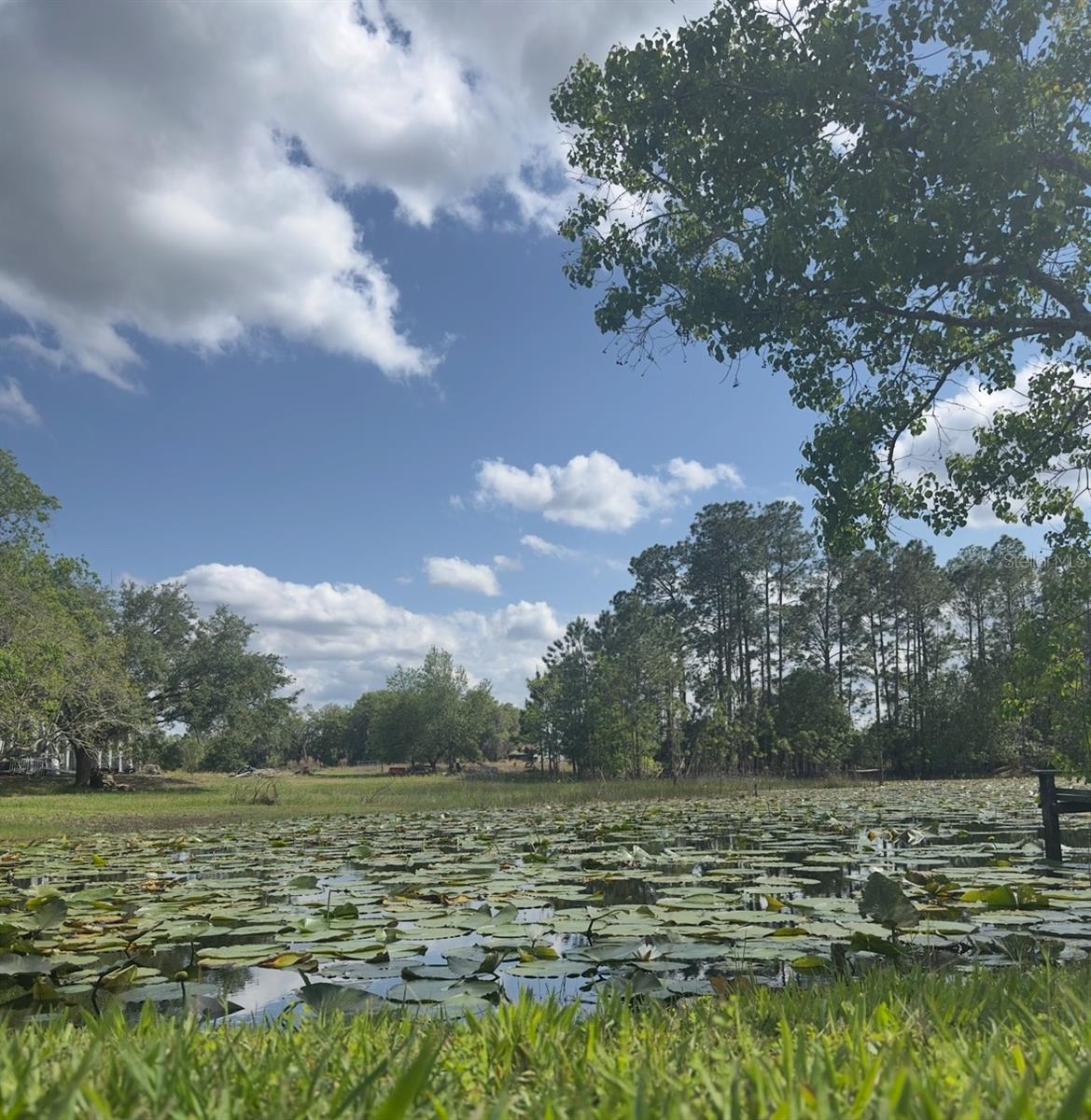 44645 MISTY ISLE DR, DELAND, FL — photo 30