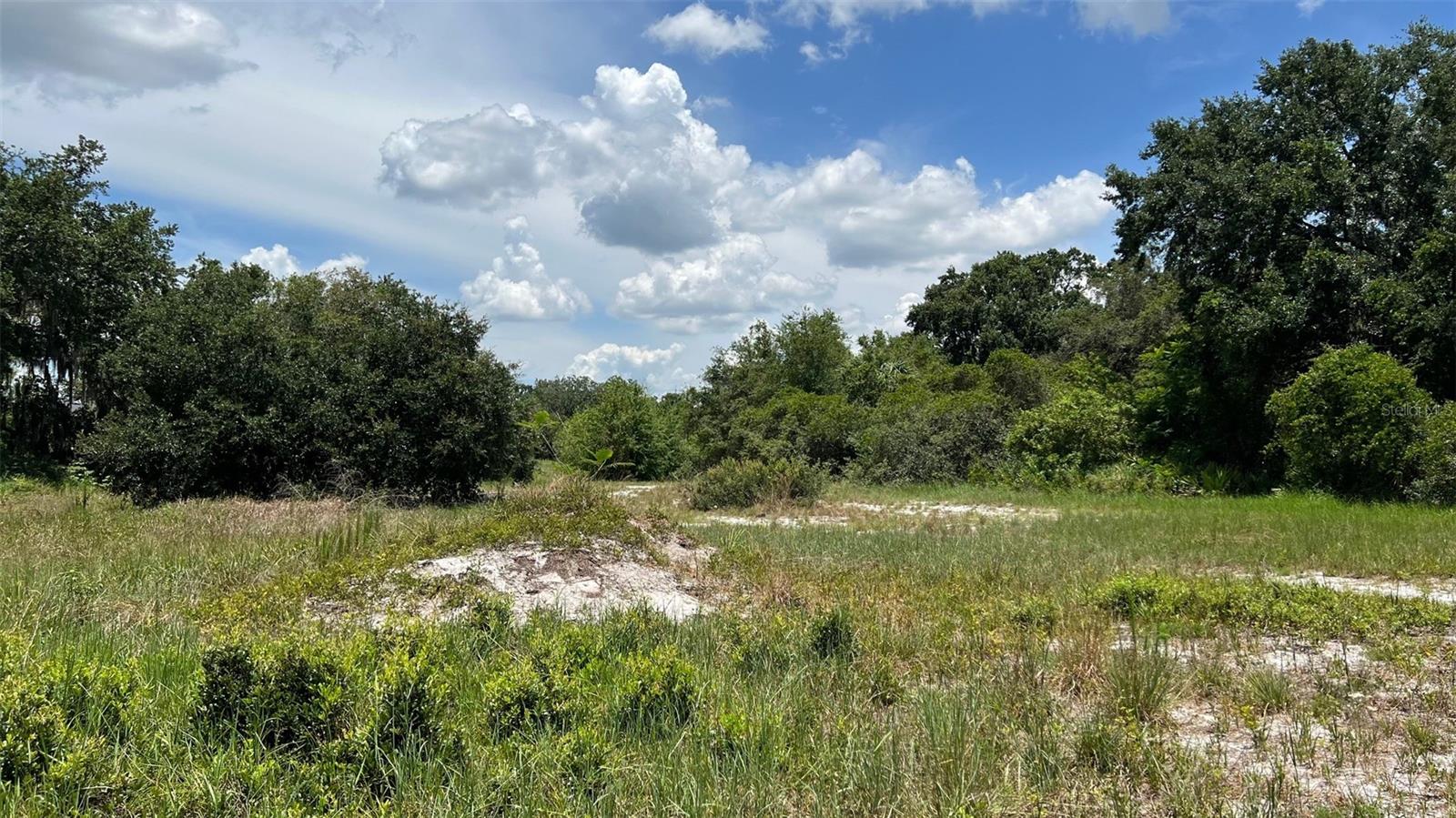 ABUNDANT LIFE DR, AUBURNDALE, FL — photo 10