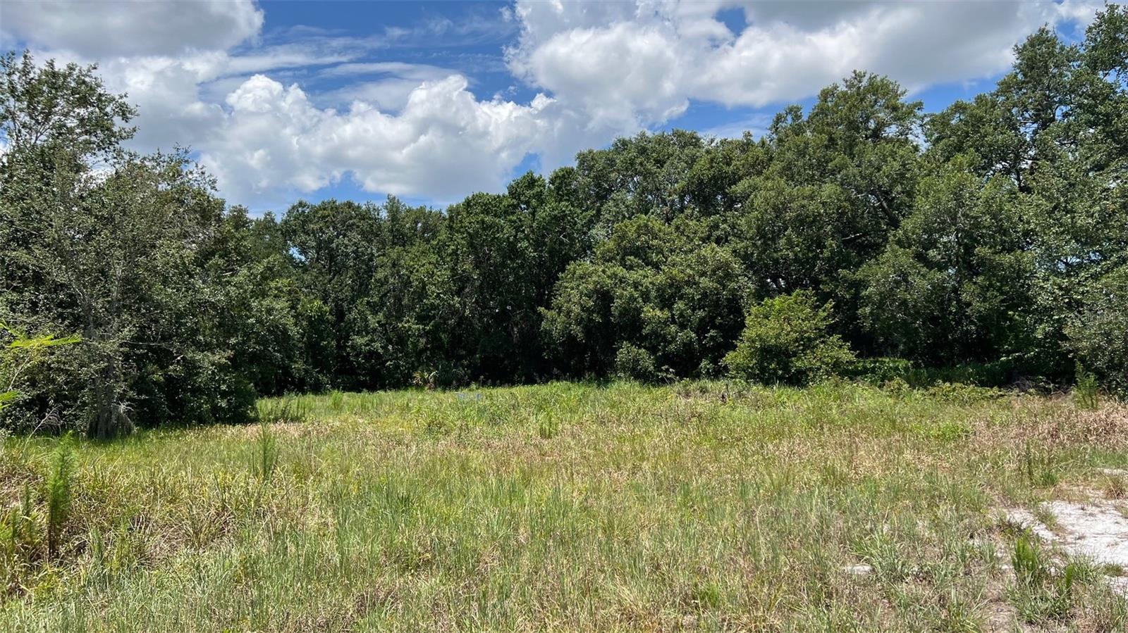 ABUNDANT LIFE DR, AUBURNDALE, FL — photo 11