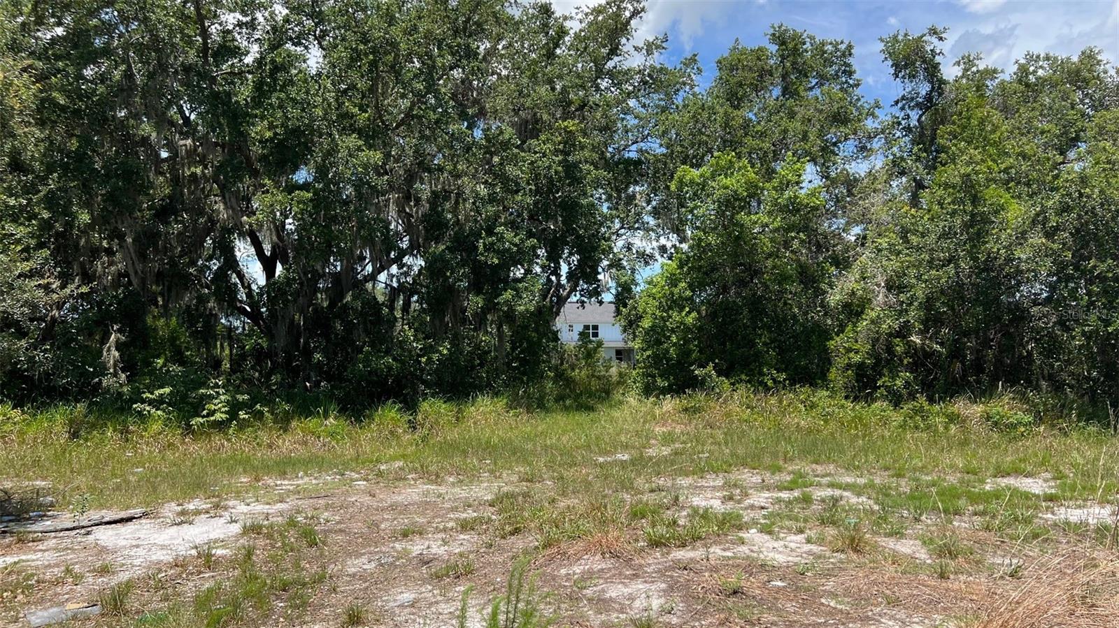 ABUNDANT LIFE DR, AUBURNDALE, FL — photo 12