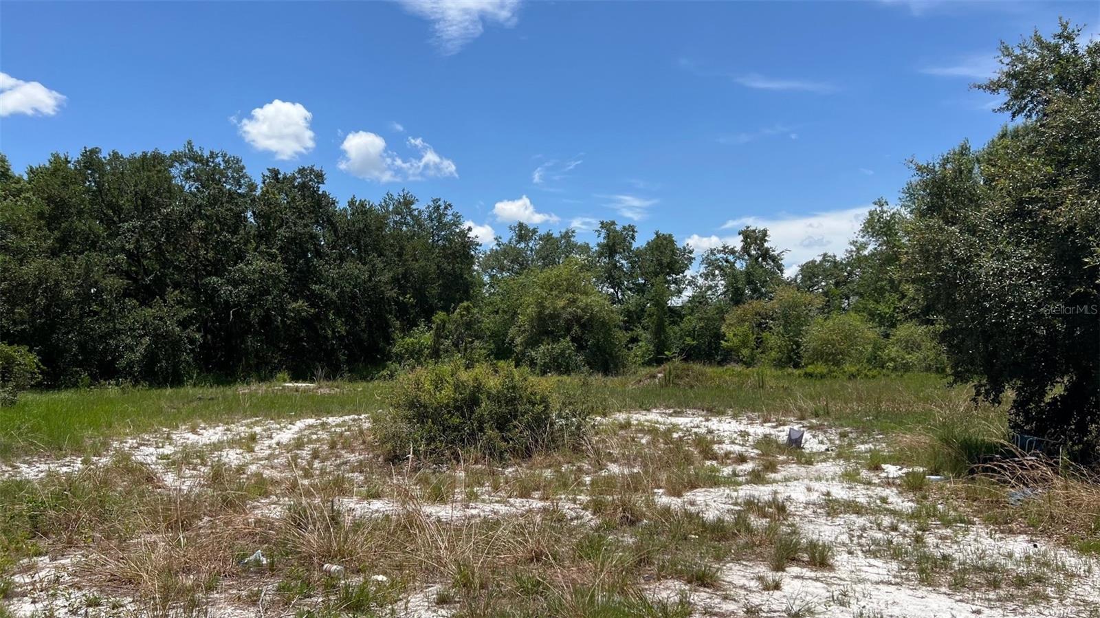 ABUNDANT LIFE DR, AUBURNDALE, FL — photo 13