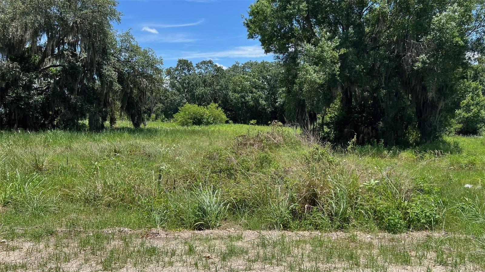 ABUNDANT LIFE DR, AUBURNDALE, FL — photo 17