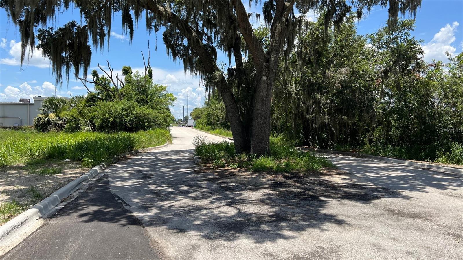 ABUNDANT LIFE DR, AUBURNDALE, FL — photo 18