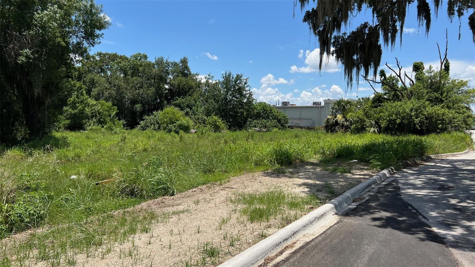 ABUNDANT LIFE DR, AUBURNDALE, FL — photo 19