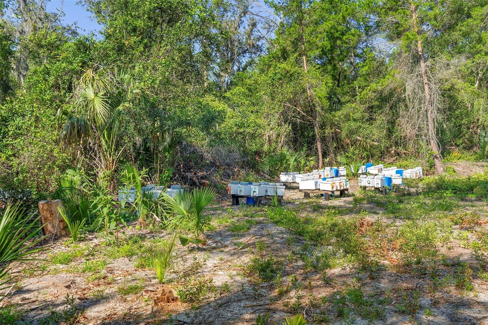 1835 S GLENCOE RD, NEW SMYRNA BEACH, FL — photo 16