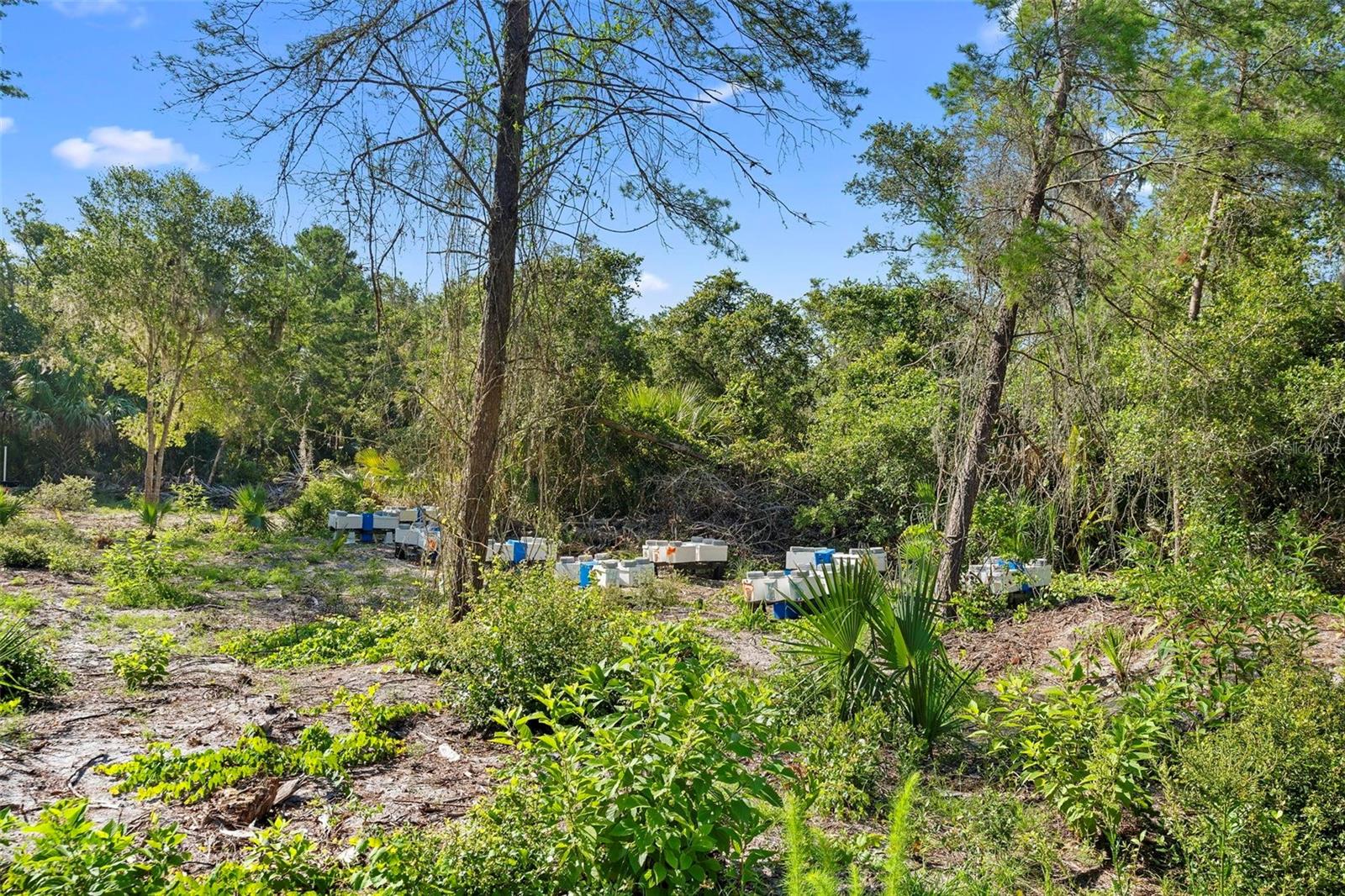 1835 S GLENCOE RD, NEW SMYRNA BEACH, FL — photo 18