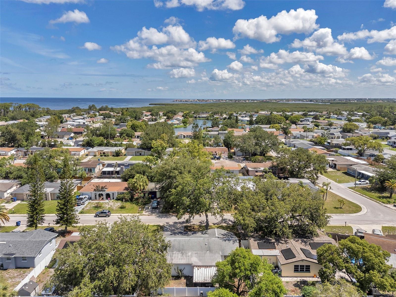 3118 LLOYD DR, HOLIDAY, FL — photo 62
