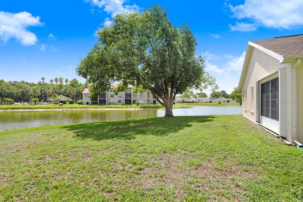 4407 WHITTON WAY, NEW PORT RICHEY, FL — photo 41