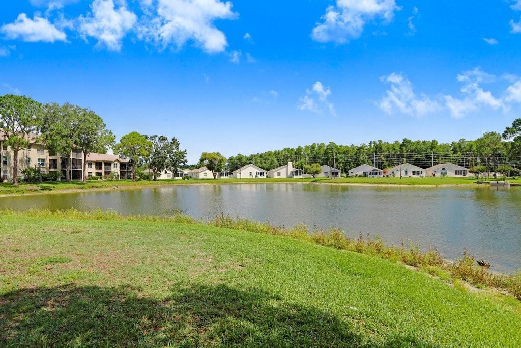 4407 WHITTON WAY, NEW PORT RICHEY, FL — photo 42