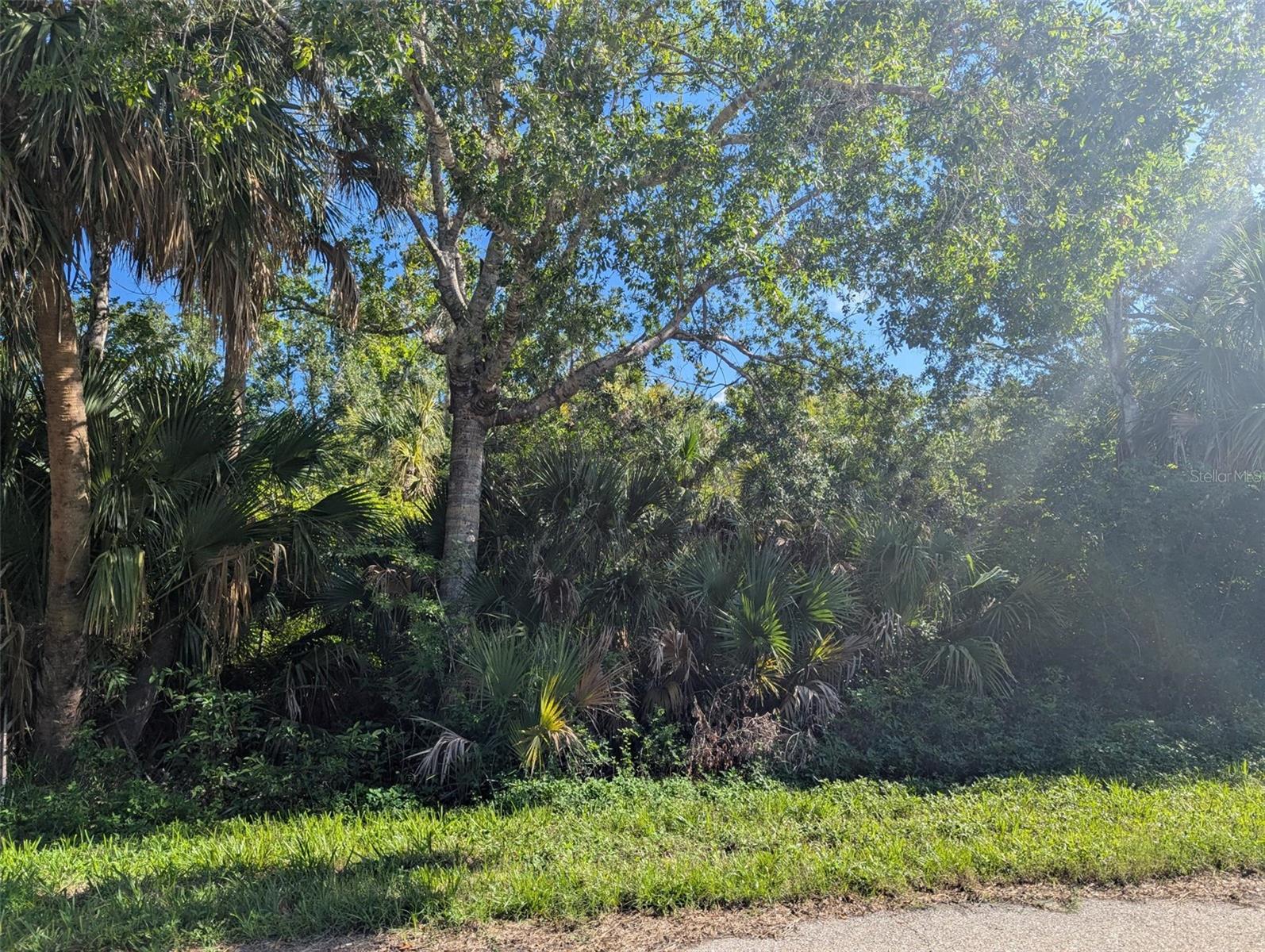 16506 MCLAURY AVE, PORT CHARLOTTE, FL — photo 3