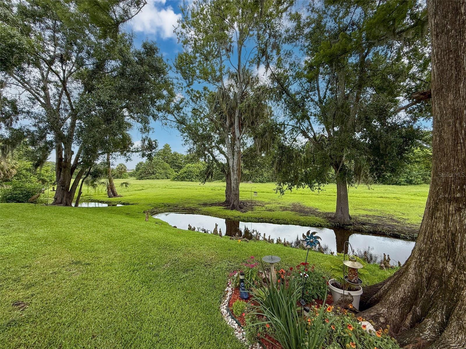 7135 TRENTON PL, NEW PORT RICHEY, FL — photo 41