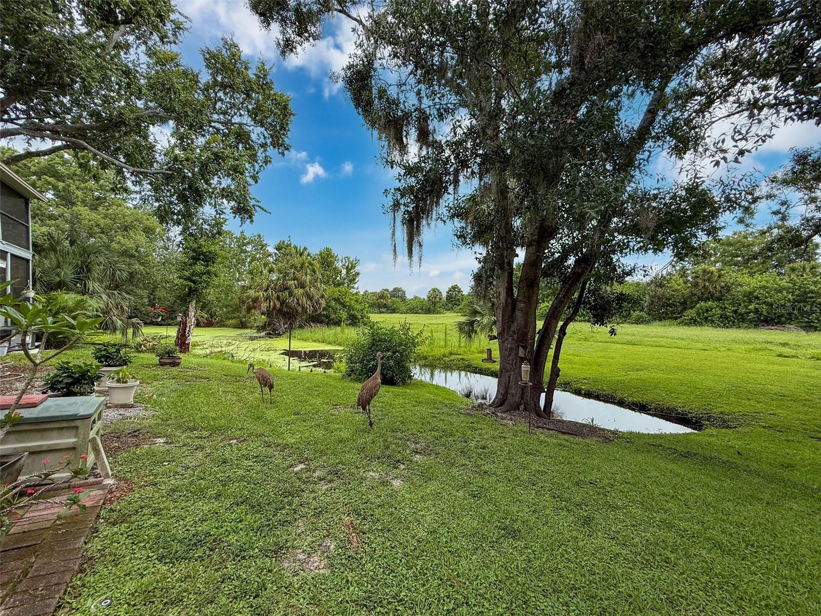 7135 TRENTON PL, NEW PORT RICHEY, FL — photo 43