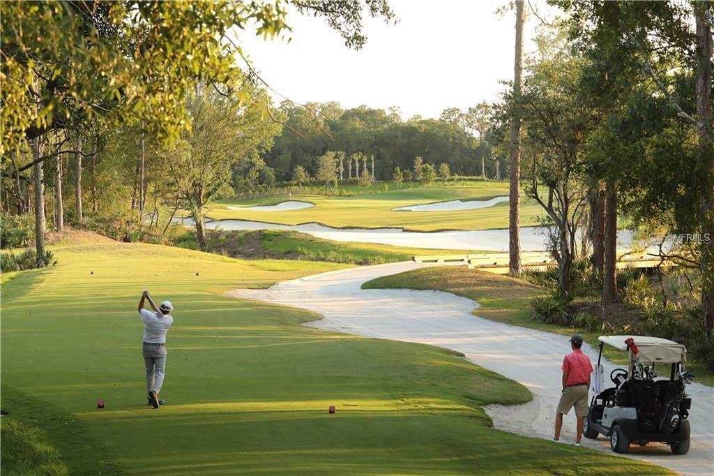 16808 BWANA PL, BRADENTON, FL — photo 43