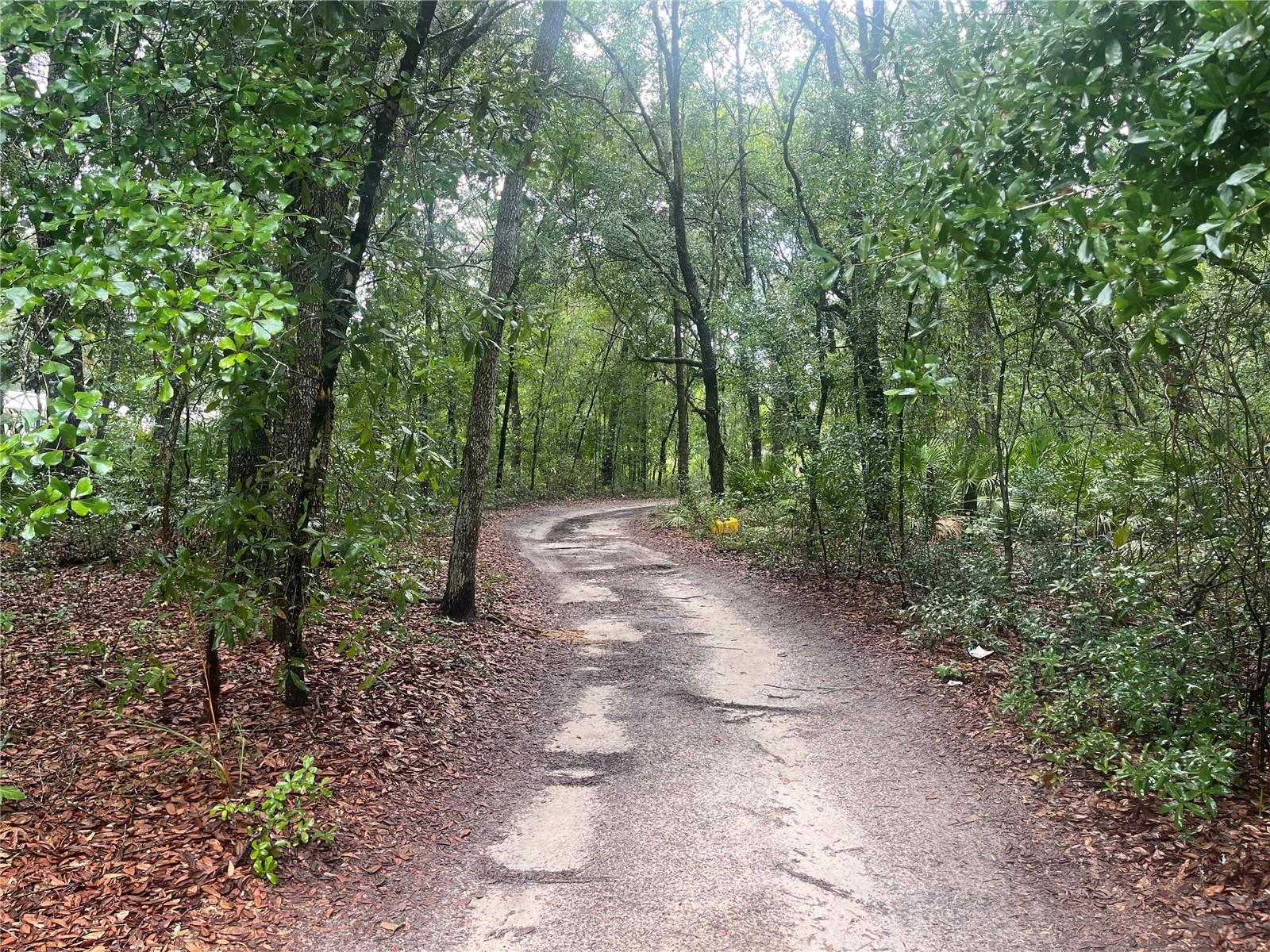 TBD DELAWARE AVE, INTERLACHEN, FL — photo 2