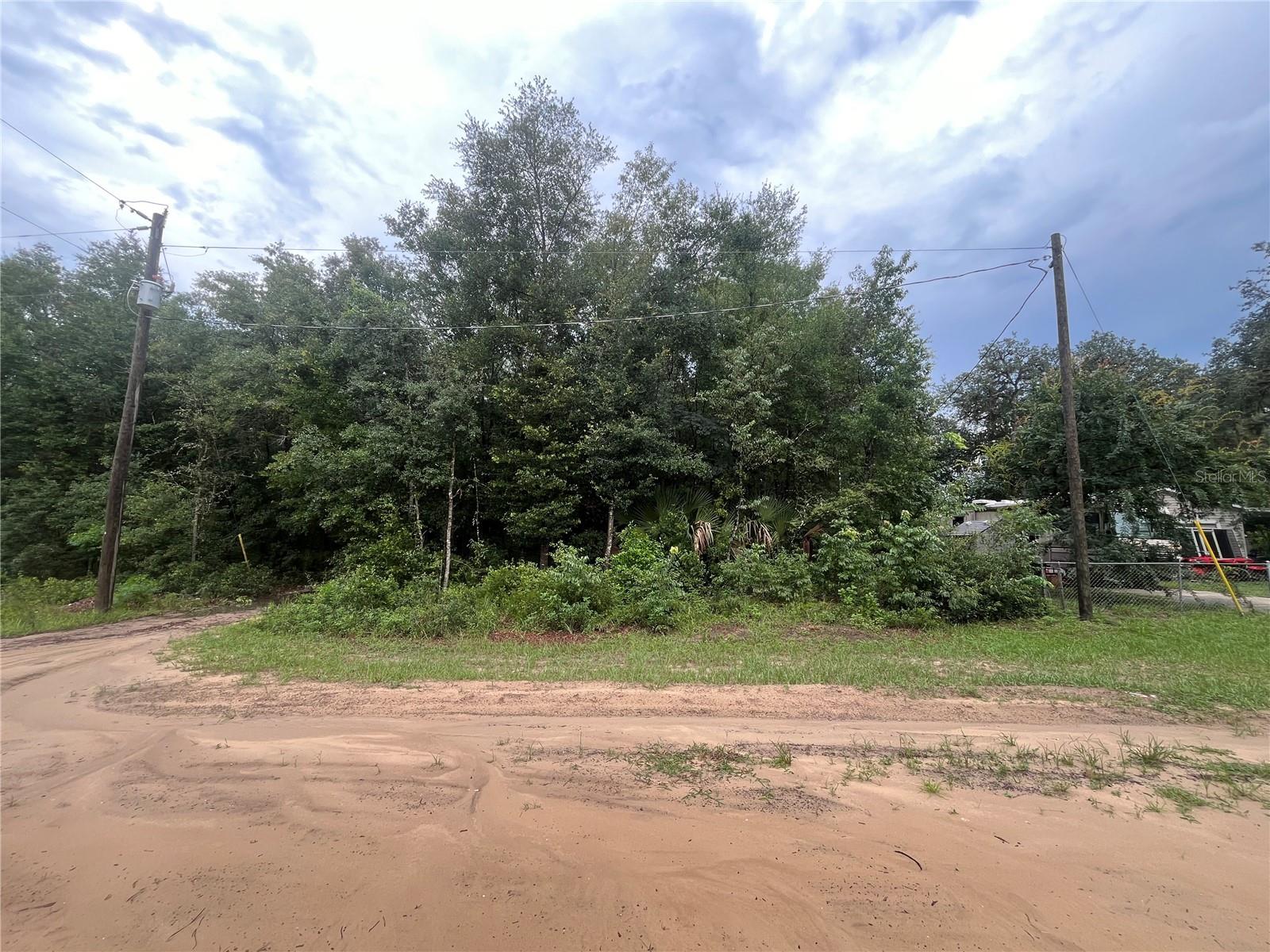 TBD DELAWARE AVE, INTERLACHEN, FL — photo 7