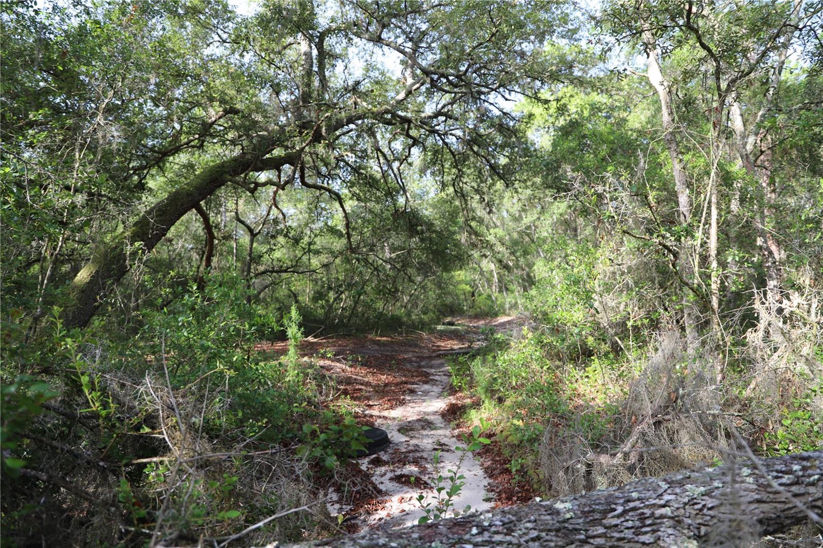 00 STATE ROAD 100, KEYSTONE HEIGHTS, FL — photo 2
