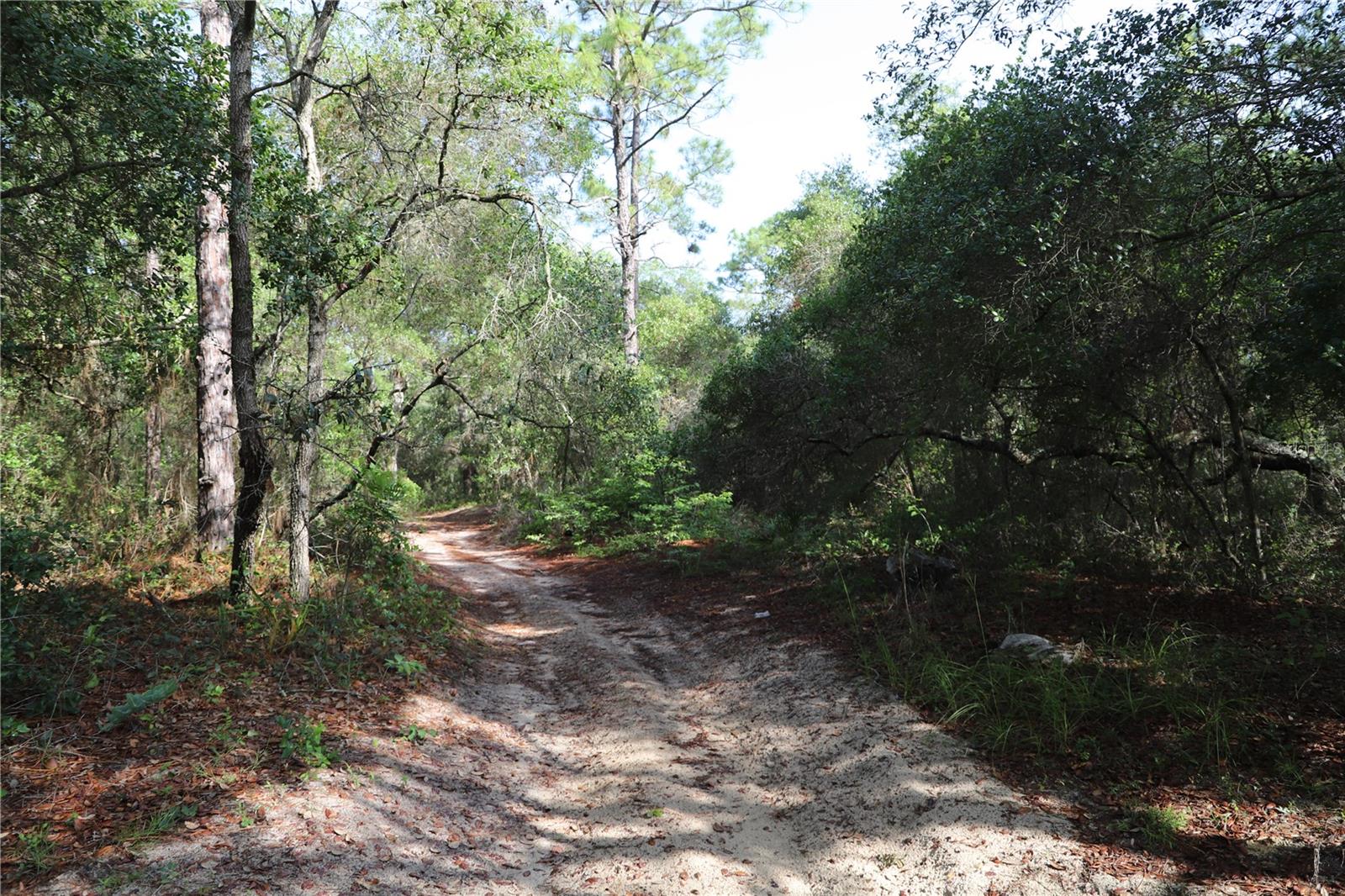 00 STATE ROAD 100, KEYSTONE HEIGHTS, FL — photo 6