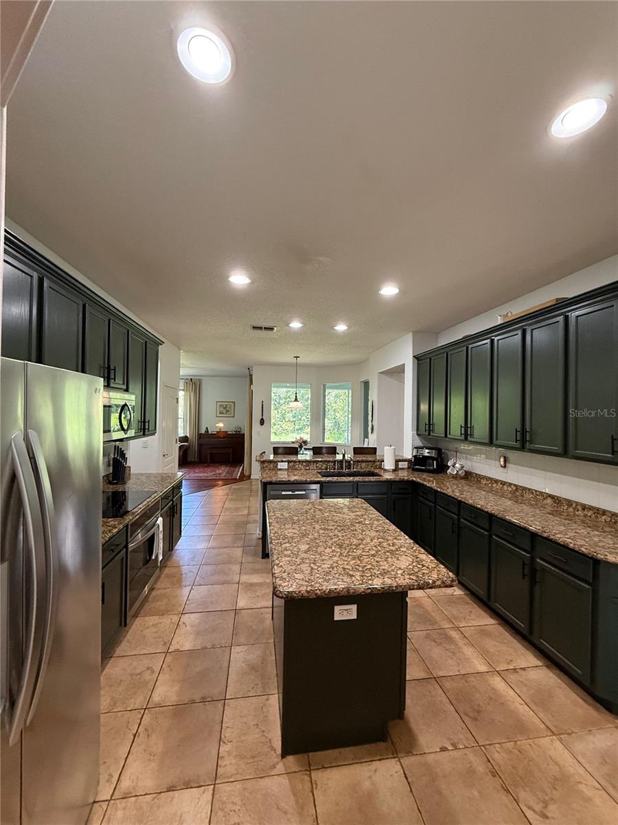 26620 SHOREGRASS DR, WESLEY CHAPEL, FL — photo 4