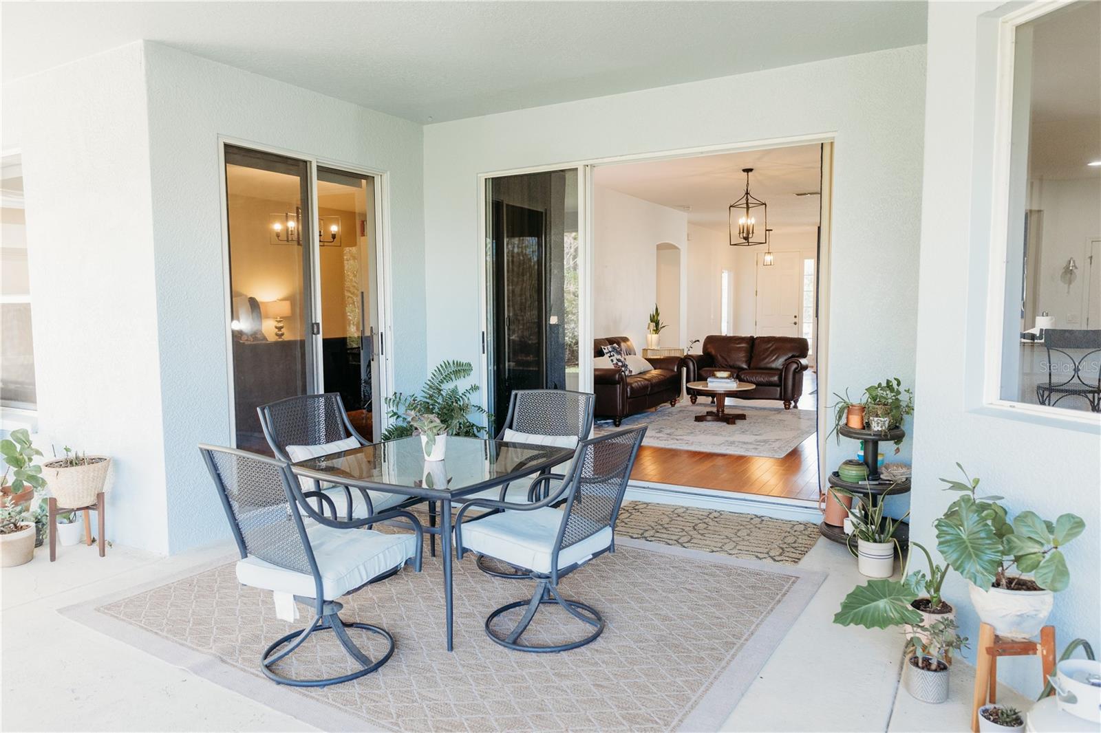 26620 SHOREGRASS DR, WESLEY CHAPEL, FL — photo 12