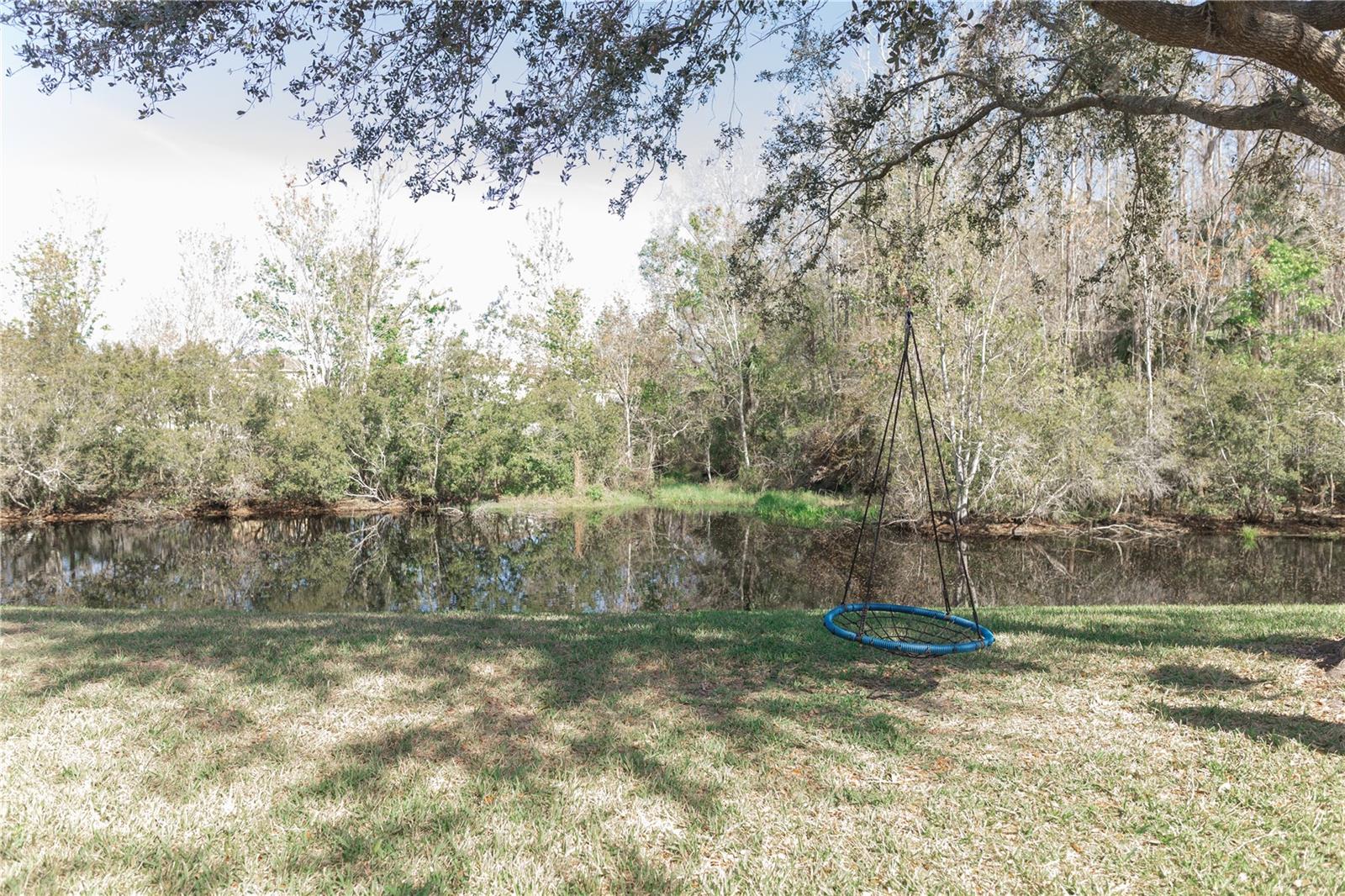 26620 SHOREGRASS DR, WESLEY CHAPEL, FL — photo 35