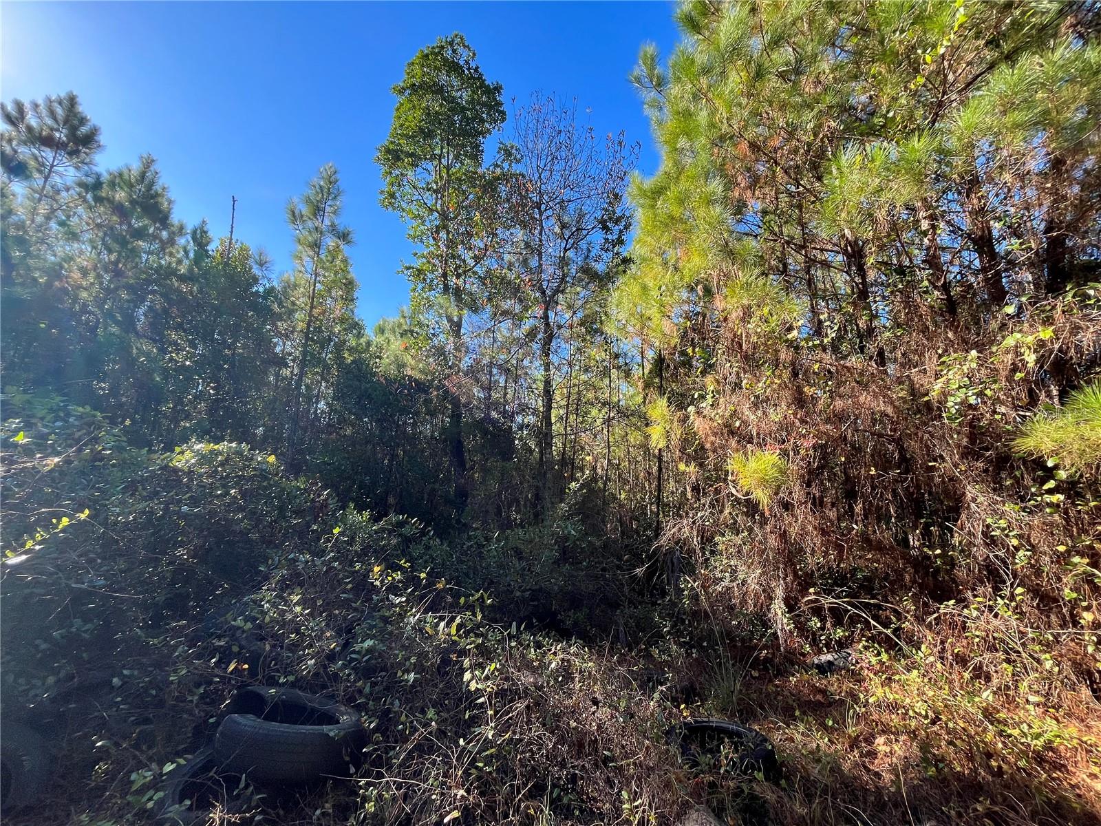 223 MOURNING DOVE RD, SATSUMA, FL