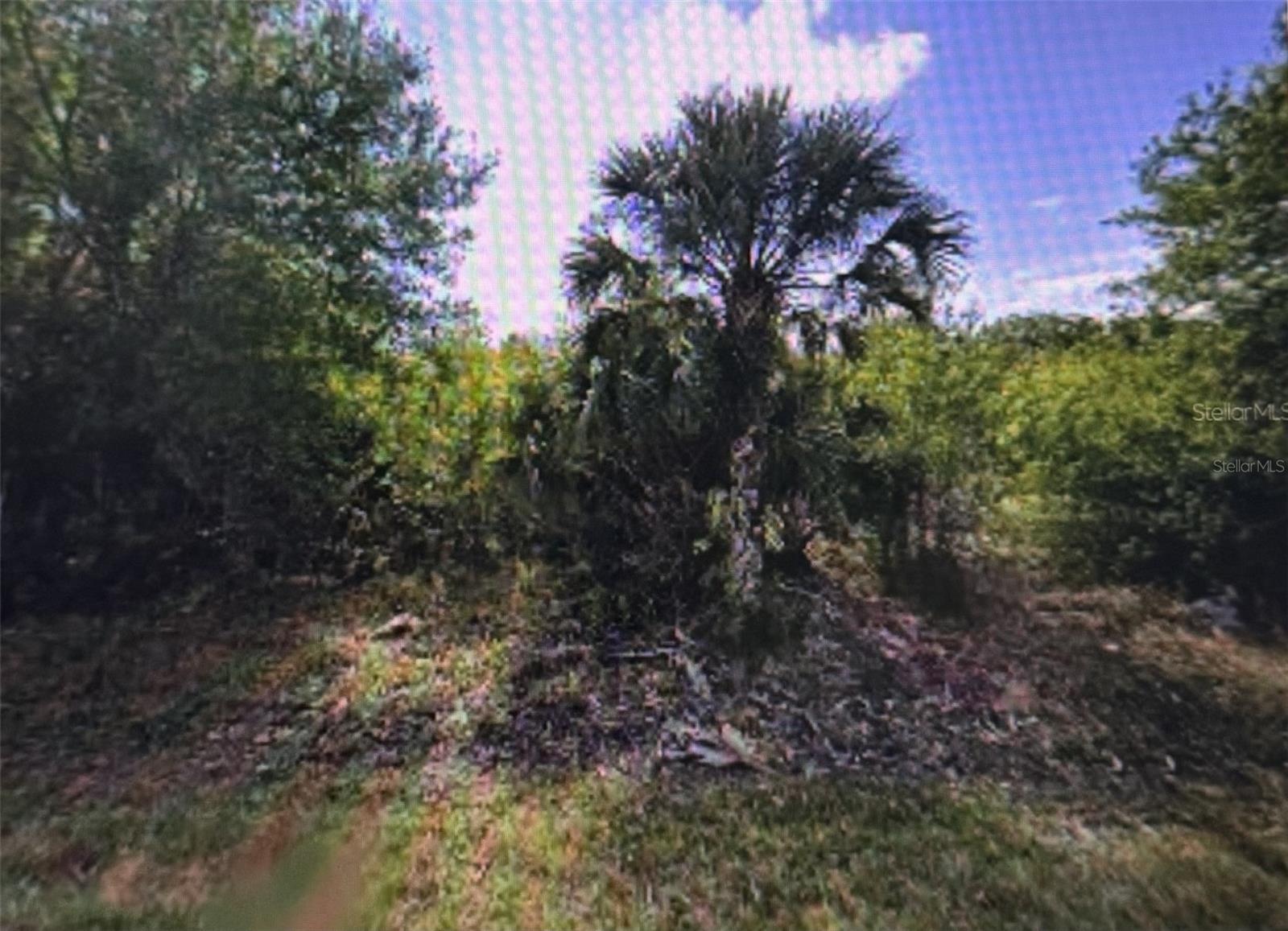 11443 3RD AVE, PUNTA GORDA, FL